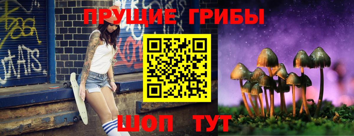 Галлюциногенные грибы прущие грибы Жигулёвск